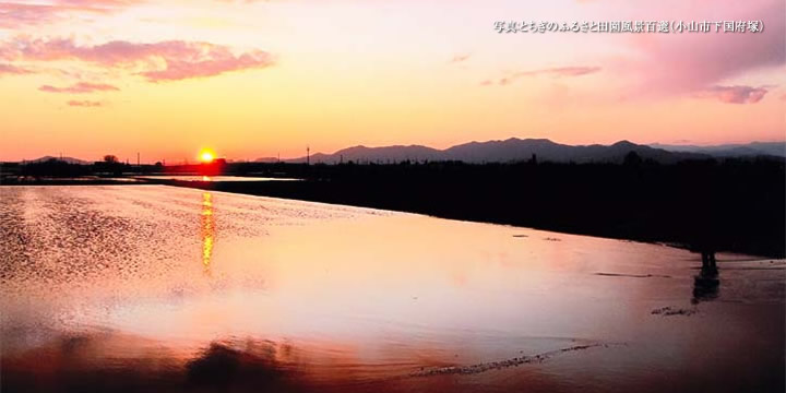 とちぎのふるさと田園風景百選（小山市下国府塚）